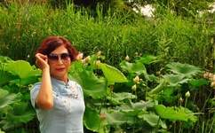 暴雨暴雪都要来 9省下雨8省下雪